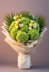 Hortensie Verde Festiv