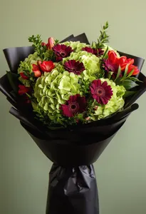 Hortensie Verde Valentine