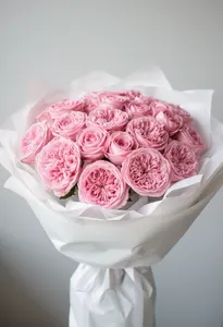 Pomarose Cămin