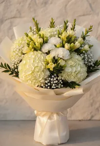 Hortensie Cremă Felicitări