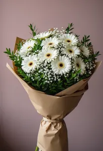 Gerbera Primăvă