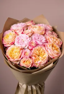 Pomarose Shimmer Veranie
