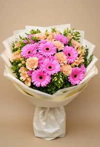 Gerbera Distincție