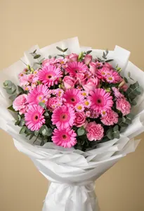Gerbera și vise