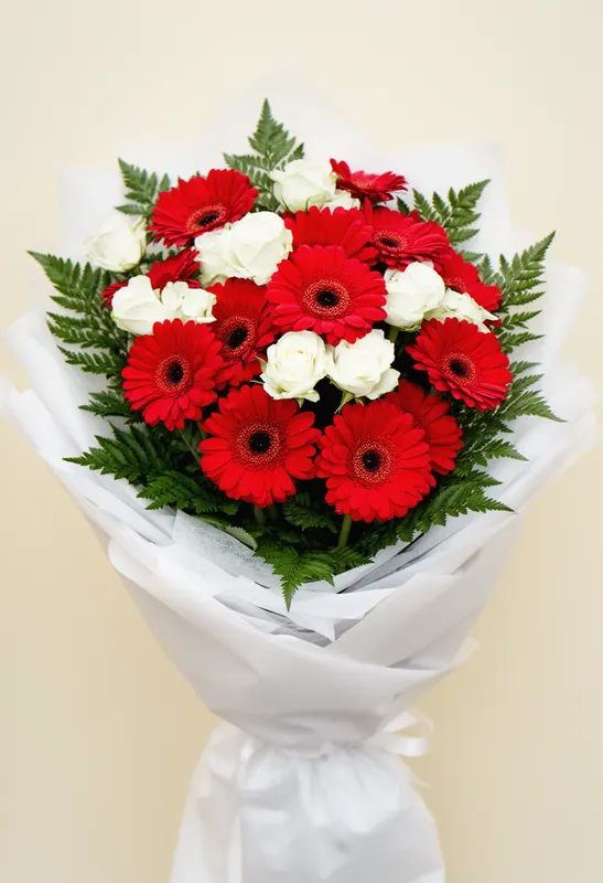 Gerbera Festin Primăvară