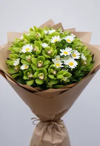 Orhidee Verde Liniște
