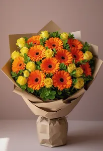 Foc de Gerbera
