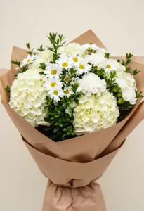 Mângâiere de Hortensie
