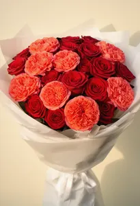 Pasiune Coral