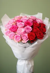 Ombré Roz Roșu