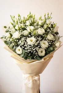 Lisianthus Seren