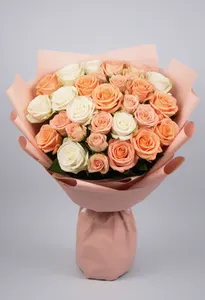 Cream to peach Serenă
