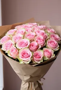Rapsodie Pink
