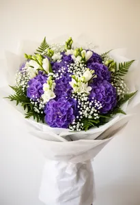 Hortensia Însănătoșă