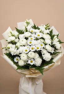 Ranunculus Pură