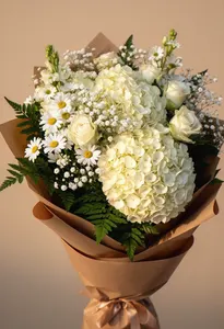 Hortensie Pură