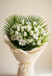 Tulip Nupțial Regal