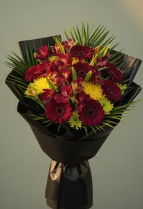 Gerbera Căldura Toamnei