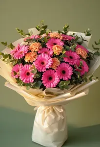 Gerbera Elegantă