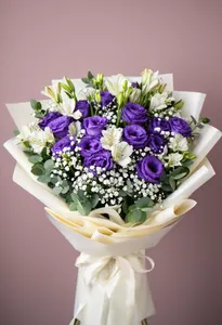 Impuls Violet