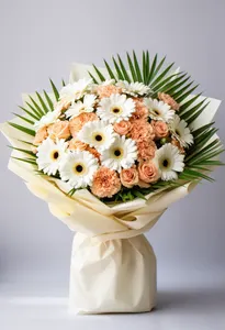 Gerbera Alinare