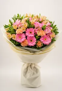 Gerbera Encântare