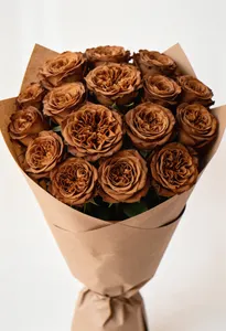 Toffee Terracotta