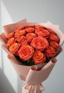 Nina coral regal