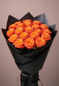 Orange Crush Metropole