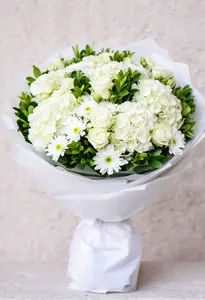 Armonie Hortensie Albă