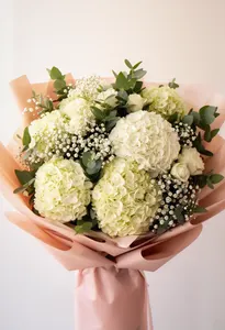 Hortensie Nupțială