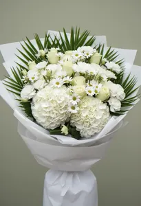 Hortensie Senin