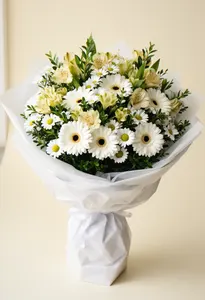 Gerbera Ceremonială