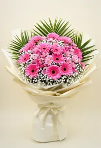Gerbera Grație