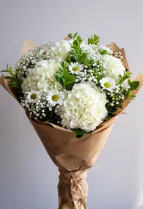 Splendoare Hortensie
