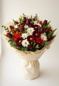 Tulipă Regală