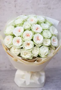 White O Hara Liniște