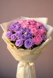 Lavender dusk Acord