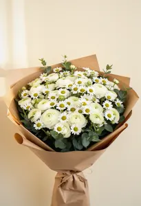 Ranunculus Profesional