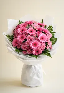 Gerbera Felicitări