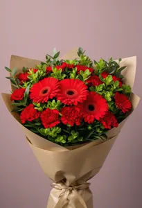 Foc de Gerbera