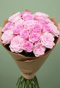 Speranță Pomarose