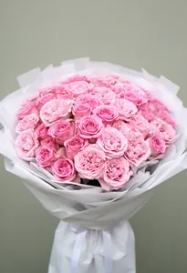 Pomarose Aniversar