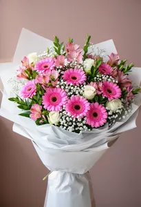 Gerbera Revigorare