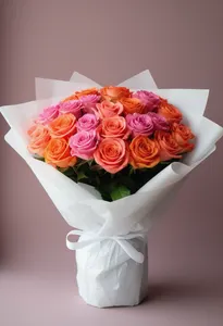Coral ombre Serenitate
