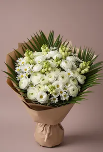 Ranunculus Alb Miraj