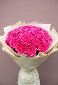 Candy Xpression Dorință