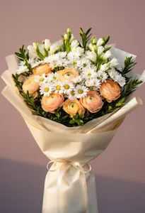 Ranunculus Champagne