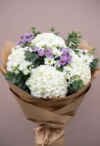 Hortensie Corporate