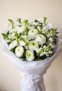 Ranunculus Alba Verde